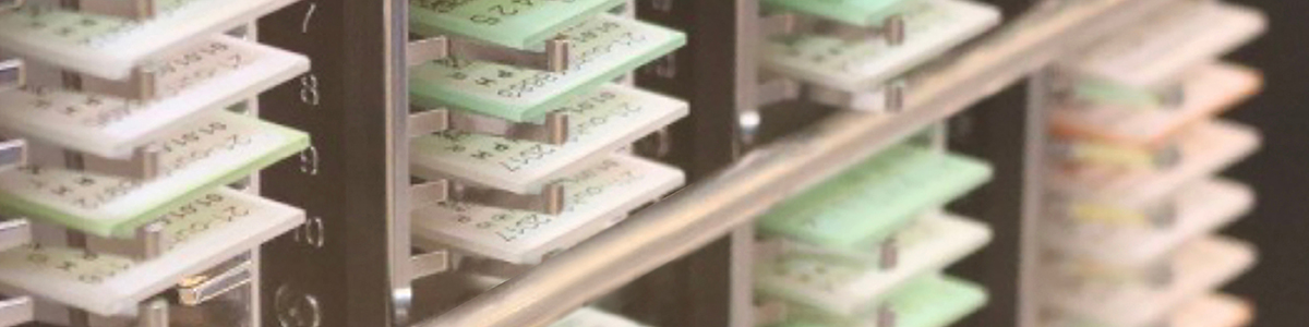 web_billede_rack_1200x300px